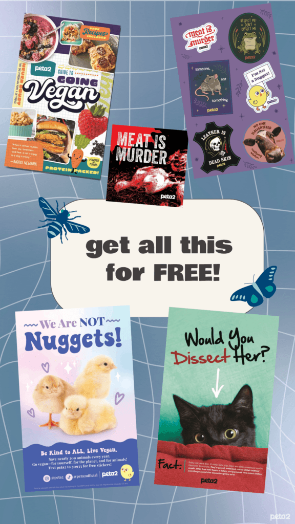 PETA owned image for the Activism Starter Pack order form page