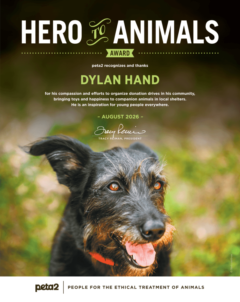 Image for the Dylan Toy Drive article